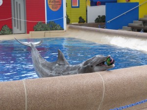 Make a Memory…Visit Brookfield Zoo in Chicago with Your Family