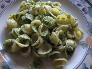 Baby Kale Pesto with Pasta…Both Healthy and Delicious!