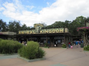 Disney World’s Animal Kingdom…Everything from Lions to Dinosaurs!
