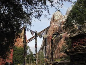 Florida Trip 2013 205 (500x375)