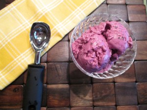 Delicious Blueberry Vanilla Nonfat Frozen Yogurt