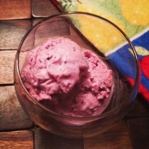 Delicious Berry Berry Vanilla Nonfat Frozen Yogurt